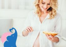 In der Schwangerschaft Frischkäse erlaubt?