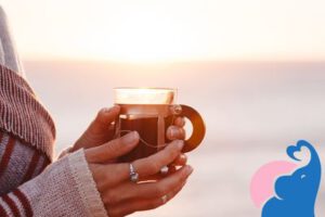 In der Schwangerschaft Rooibos Tee erlaubt?