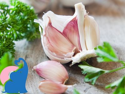 Schwangerschaft Knoblauch essen