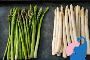 Spargel in der Stillzeit, ja oder nein?