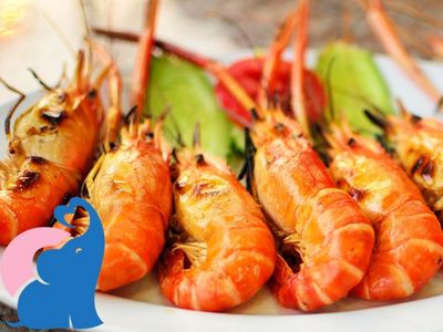 Tempura Garnelen in der Schwangerschaft essen