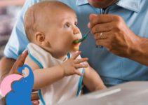 Ab wann dürfen Babys Zwiebeln essen?