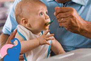 Ab wann dürfen Babys Zwiebeln essen?