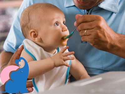 Wann duerfen Baby Zwiebeln essen