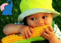 Ab wann dürfen Babys Mais essen?