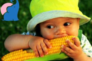 Ab wann dürfen Babys Mais essen?