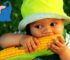 Ab wann dürfen Babys Mais essen?