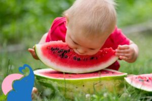 Ab wann dürfen Babys Wassermelone essen?