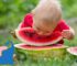 Ab wann dürfen Babys Wassermelone essen?