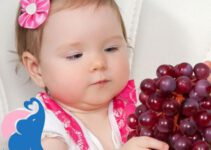 Ab wann dürfen Babys Weintrauben essen?