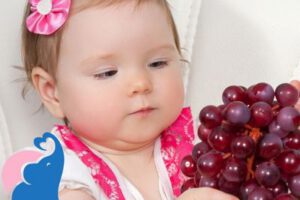 Ab wann dürfen Babys Weintrauben essen?