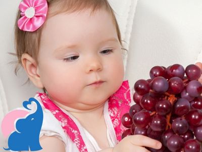 Weintrauben gut fuer das Baby