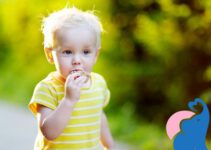 Ab wann dürfen Babys Leberwurst essen?