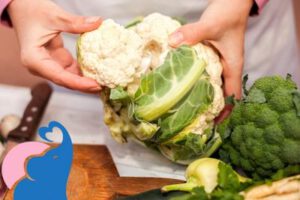 Ist in der Stillzeit Blumenkohl erlaubt?