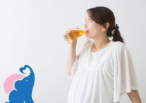 In der Schwangerschaft alkoholfreies Bier erlaubt?