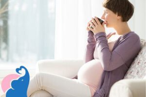 Holundertee in der Schwangerschaft: Ja oder Nein?