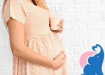In der Schwangerschaft Hafermilch erlaubt oder gefährlich?