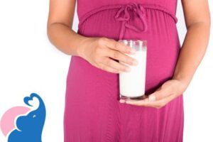 In der Schwangerschaft Rohmilch erlaubt?