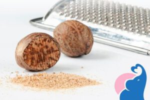 In der Schwangerschaft Muskat erlaubt?