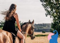 Reiten in der Schwangerschaft erlaubt?