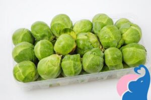 Rosenkohl in der Stillzeit, ja oder nein?
