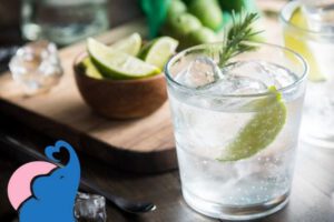 Tonic Water in der Stillzeit, ja oder nein?