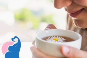Kamillentee in der Schwangerschaft, erlaubt oder gefährlich?