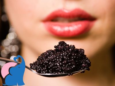 in der Schwangerschaft Kaviar essen