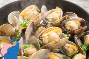 In der Schwangerschaft Muscheln erlaubt?