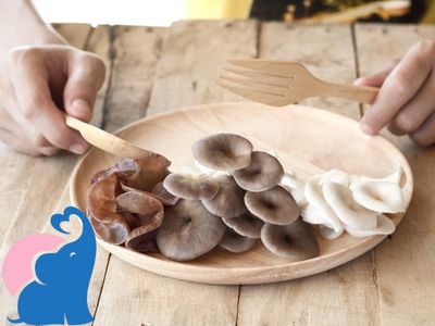 in der Schwangerschaft Pilze essen