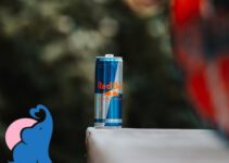 Energy Drinks & Red Bull in der Stillzeit erlaubt?