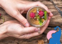 Himbeerblättertee in der Stillzeit erlaubt?