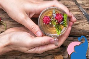 Himbeerblättertee in der Stillzeit erlaubt?