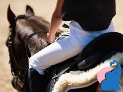 nach der Geburt wieder reiten