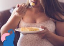 Ist Eierlikörkuchen in der Schwangerschaft erlaubt?