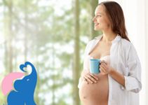 Fencheltee in der Schwangerschaft erlaubt oder nicht?