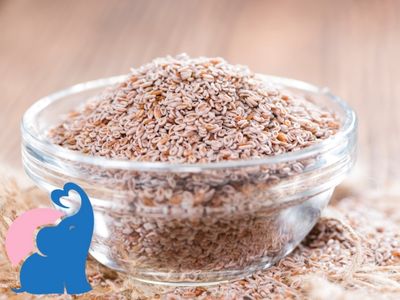 Flohsamen bei Diabetes blutzuckersenkend fuer Schwangere