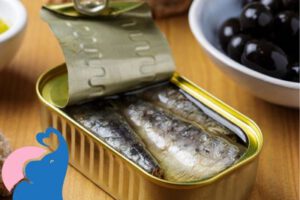 Dosenfisch in der Schwangerschaft, ja oder nein?