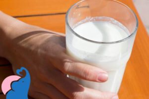 Ayran in der Schwangerschaft erlaubt?