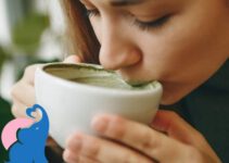 Ist Matcha Tee in der Schwangerschaft erlaubt?