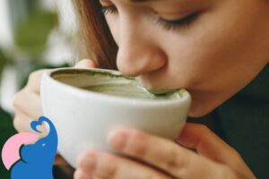 Ist Matcha Tee in der Schwangerschaft erlaubt?