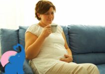Ist Melissen-Tee in der Schwangerschaft erlaubt?