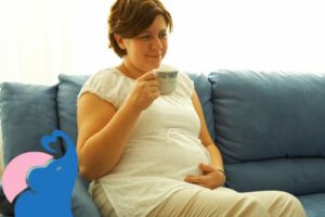 Ist Melissen-Tee in der Schwangerschaft erlaubt?