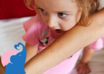 Kleinkinder beißen abgewöhnen – so geht’s