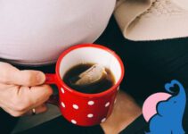 Tee in der Schwangerschaft – Welche Sorten erlaubt sind und welche nicht