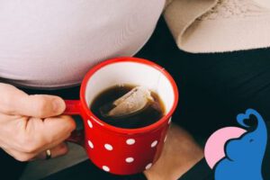 Tee in der Schwangerschaft – Welche Sorten erlaubt sind und welche nicht