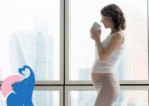 Baldriantee in der Schwangerschaft, erlaubt oder gefährlich?
