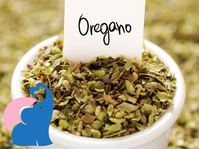 in der Schwangerschaft Oregano essen