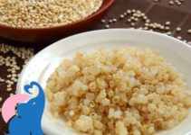 Quinoa in der Schwangerschaft erlaubt?