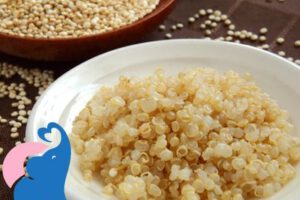 Quinoa in der Schwangerschaft erlaubt?